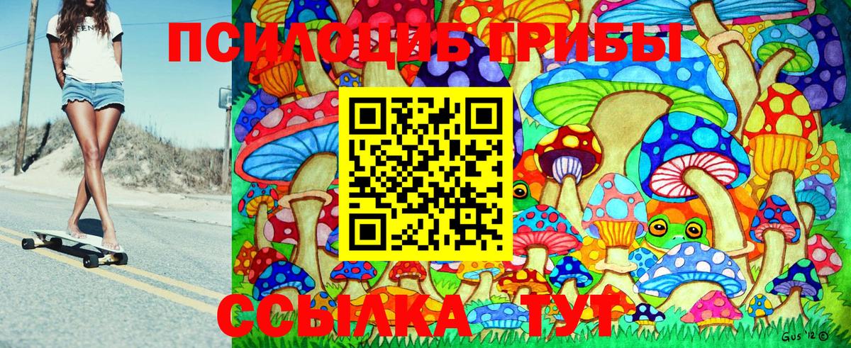 Псилоцибиновые грибы GOLDEN TEACHER  Вход с VPN  Луховицы  Псилоцибиновые грибы GOLDEN TEACHER 
