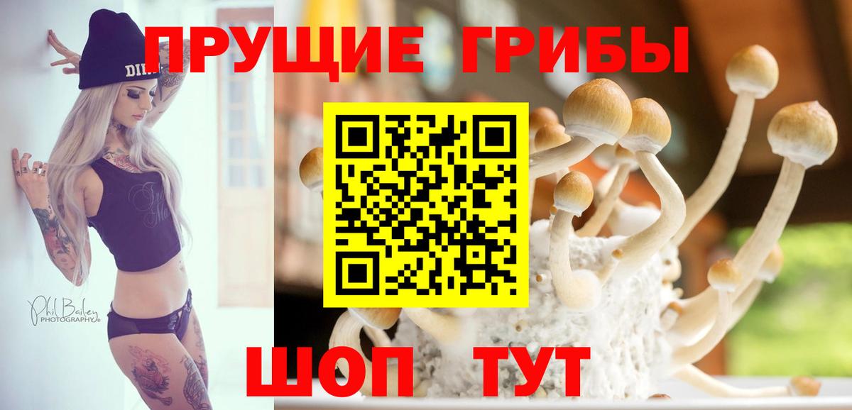 Псилоцибиновые грибы ЛСД Луховицы
